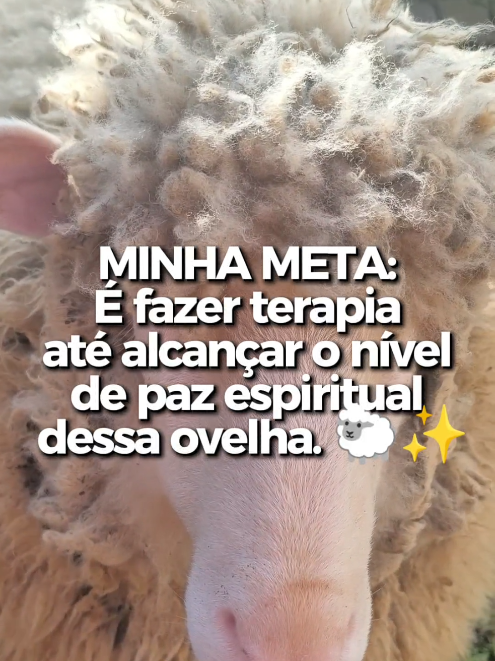 @Natália e Beatriz 🐣