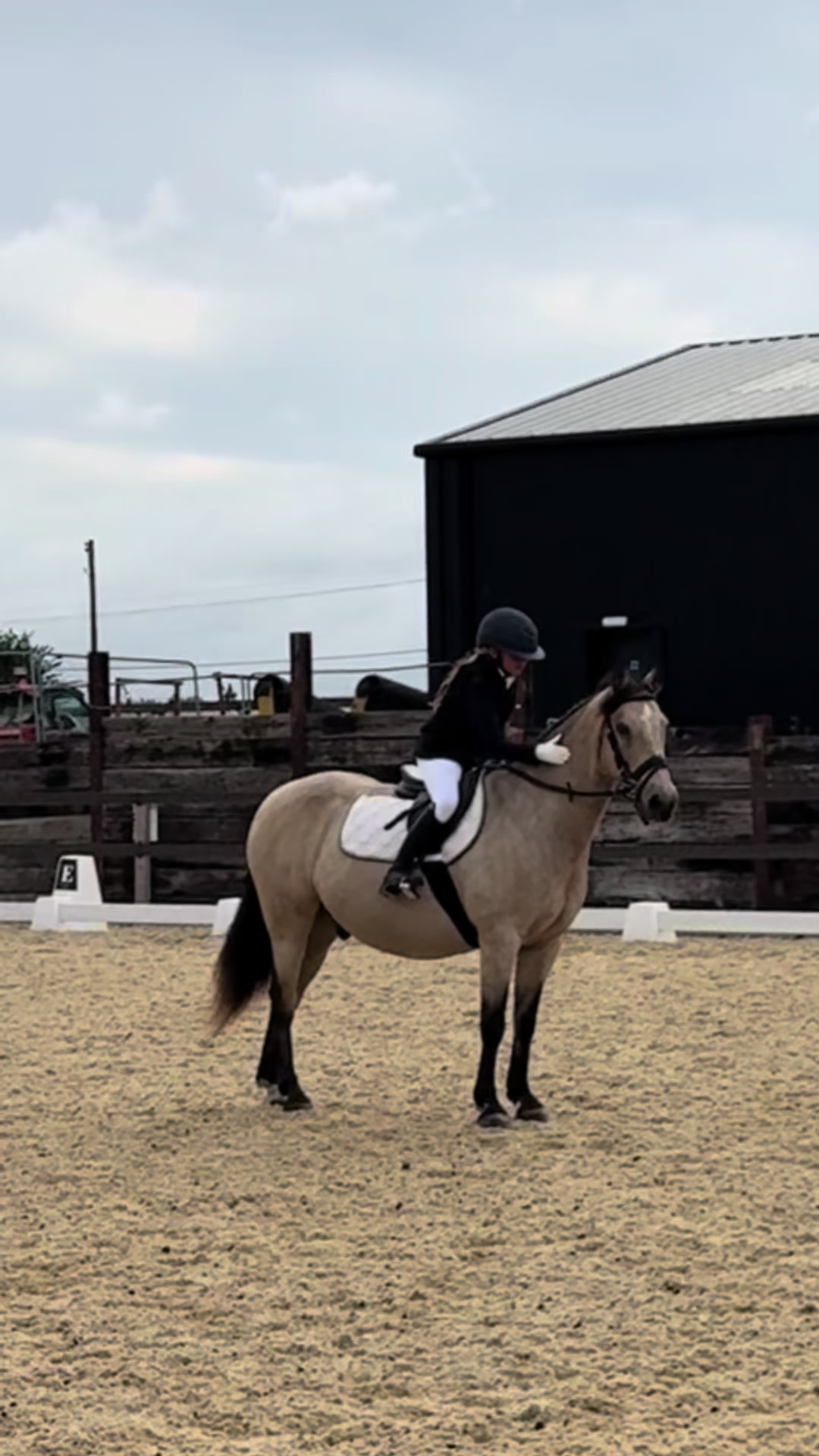 @Bronte&Alfie🍳🤎🐴