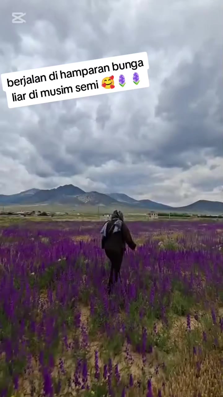 @Seni seviyorum Linda