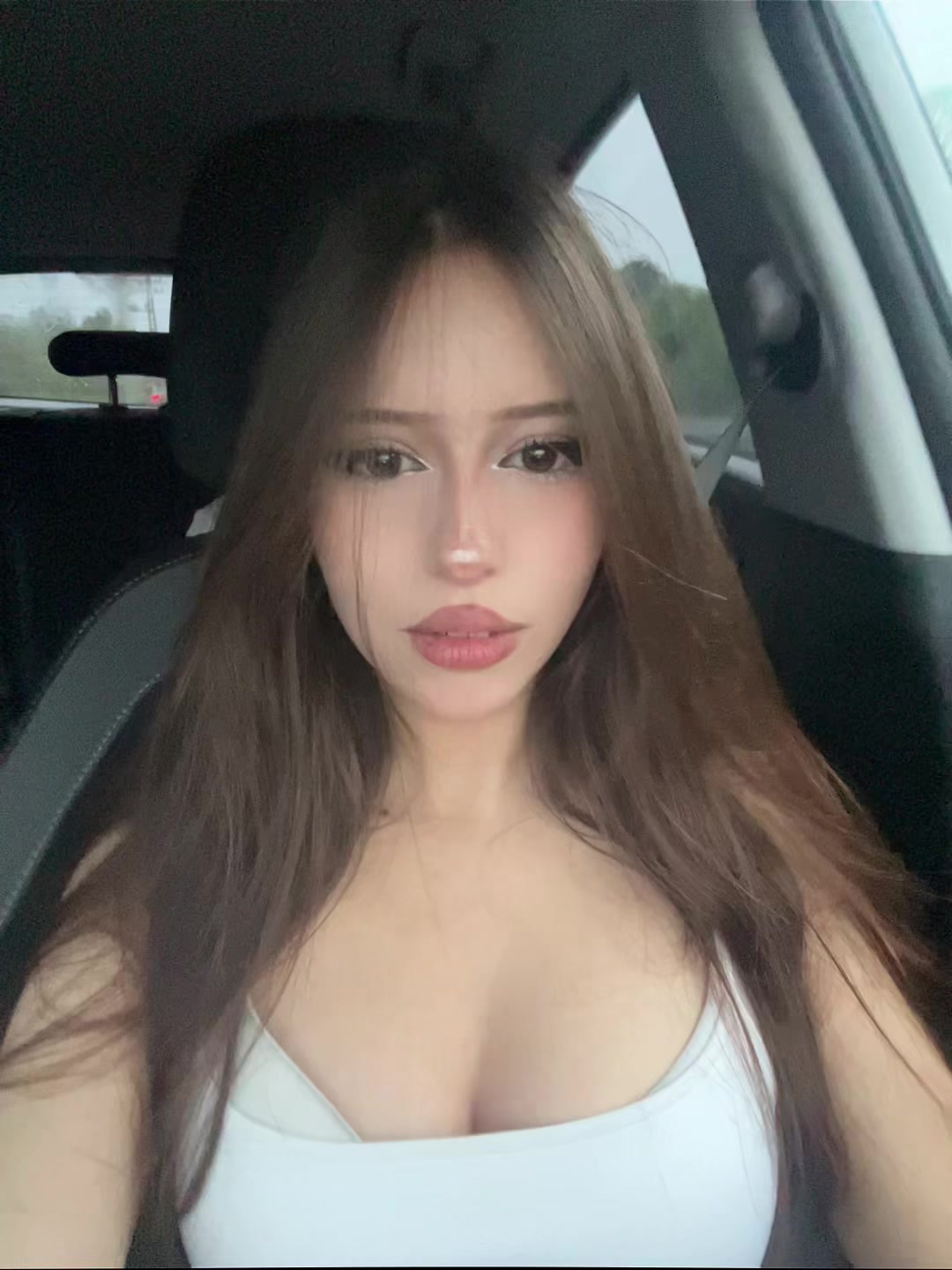 @๐ท๐ถ๐ท๐๐น๐๐๐ หสโกษ