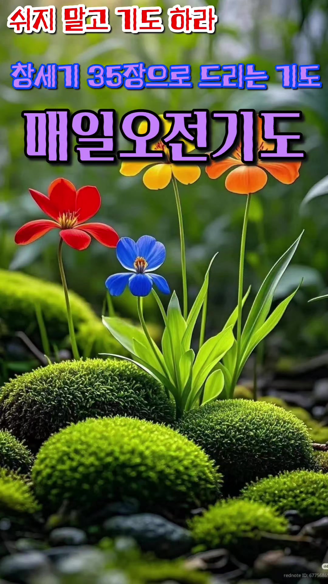 @피켓전도 김종일 목사