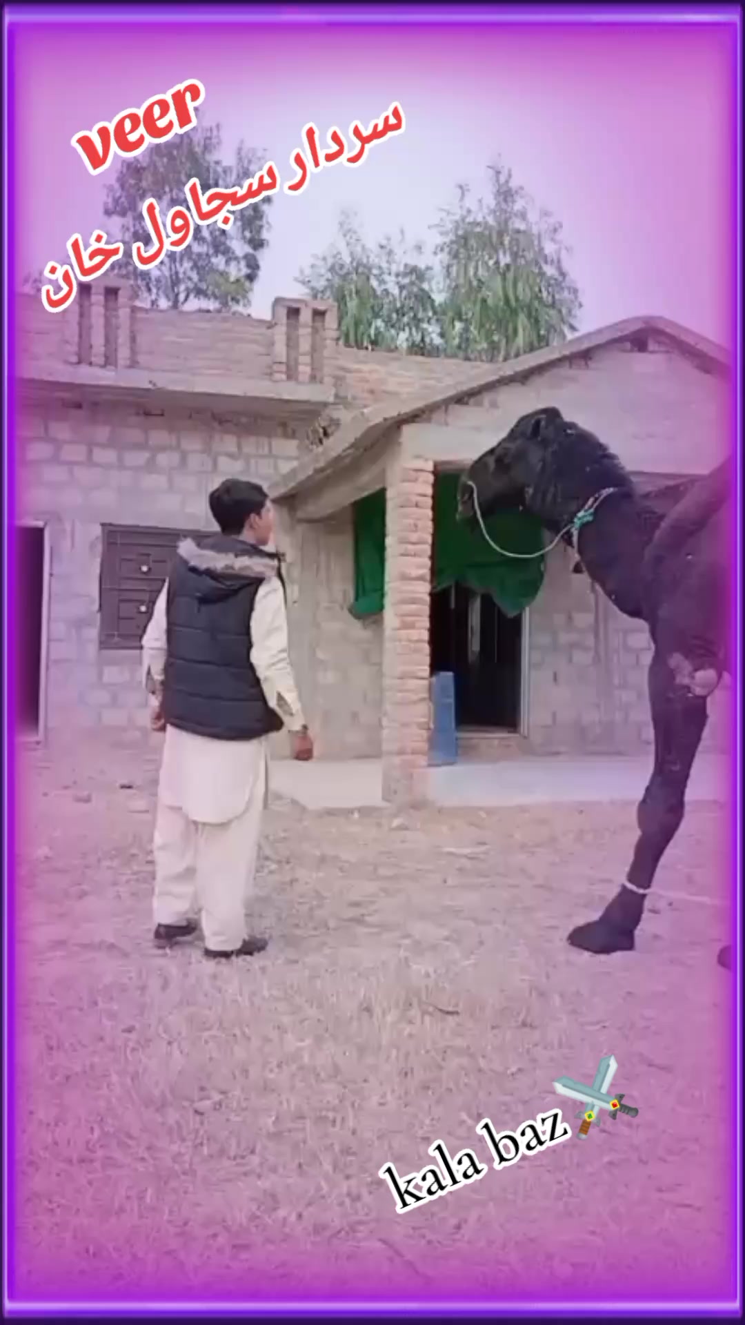 @🌹نوکر ~غازی~ دا🙏
