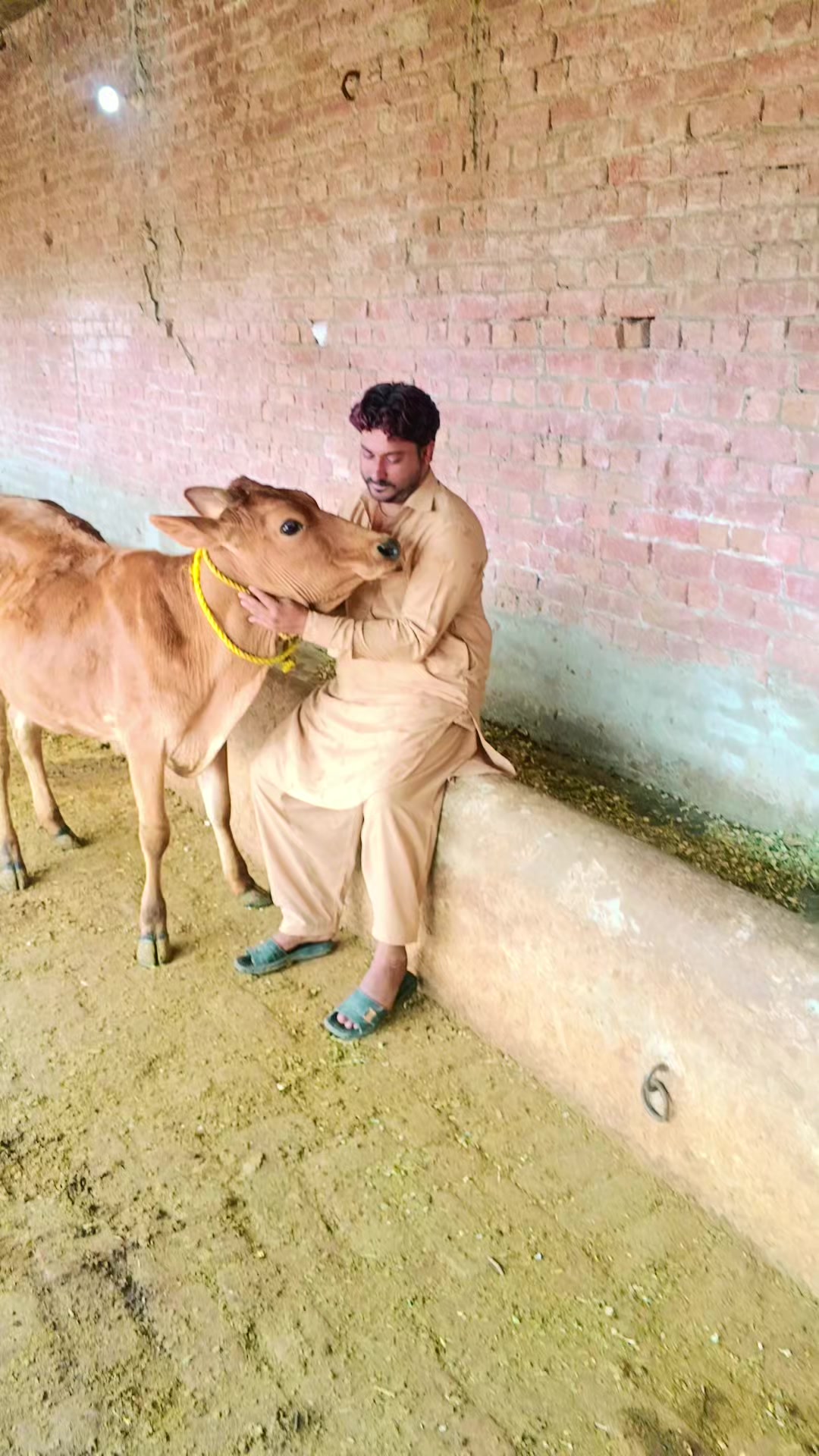 @kaka qasai 745