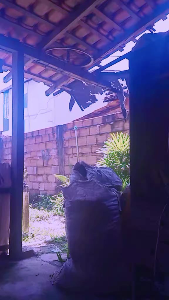 @Nete dan&ccedil;arina do Tik Tok 🥰😍
