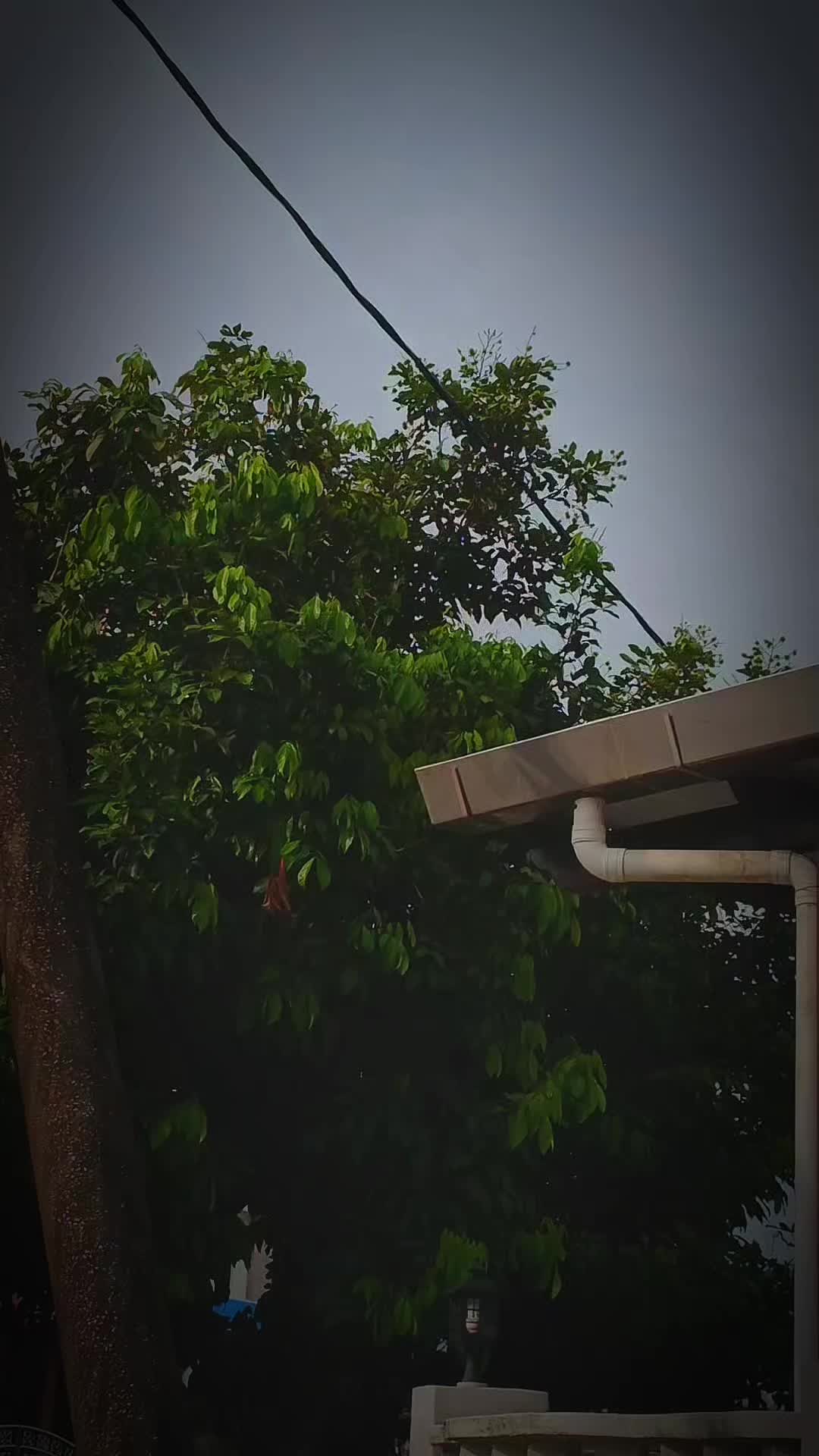 @CAISHEN_6🚩