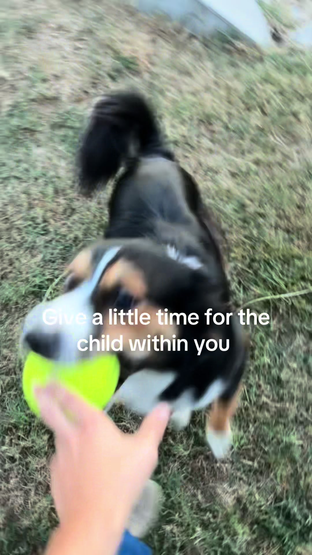 @Gavin that 5.0 150