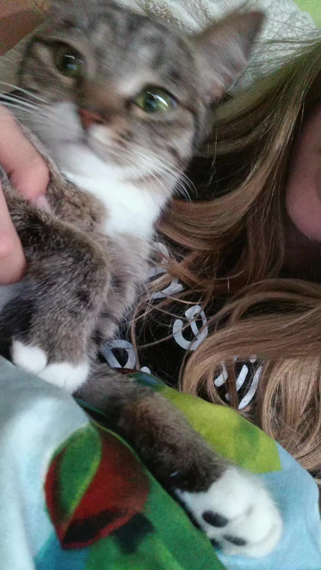 @Котяра