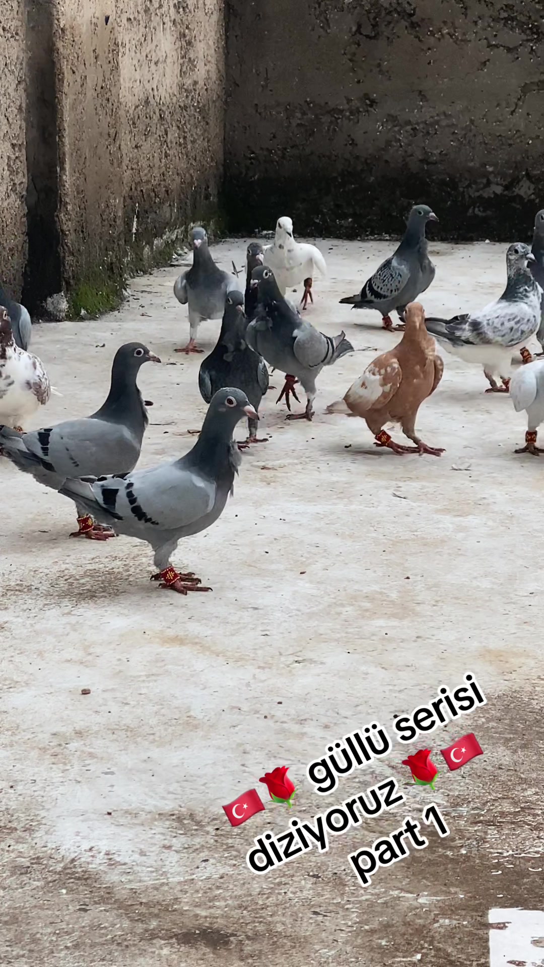 @❤️🔥🔱⚜️eczacı⚜️🔱❤️🔥