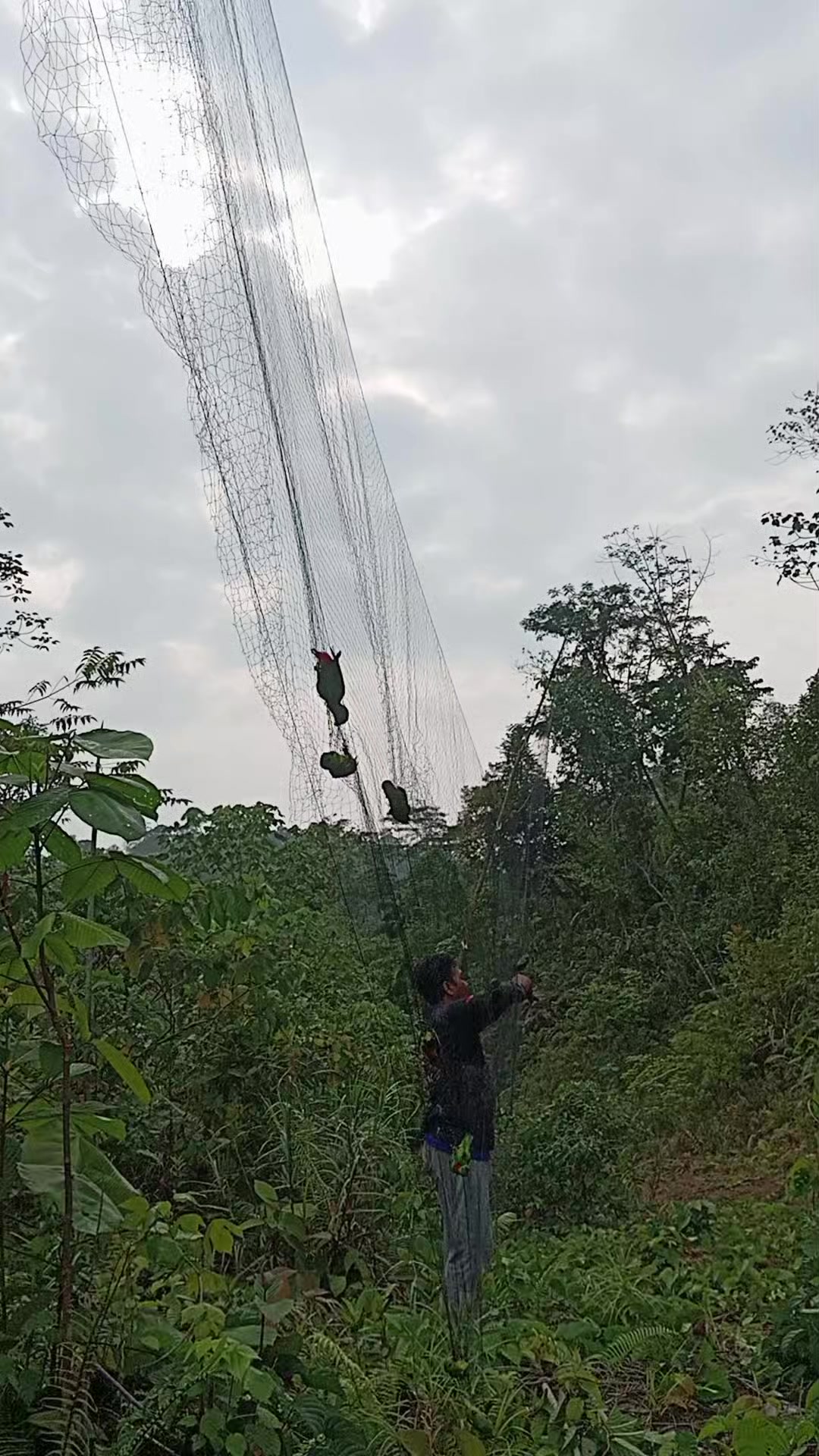 @Srindit kaltara 🦜