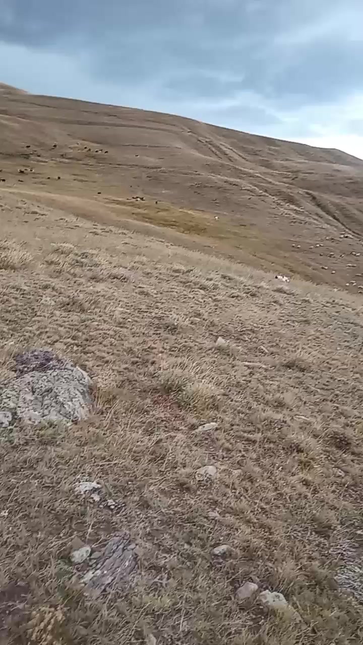 @Zahid cehrili