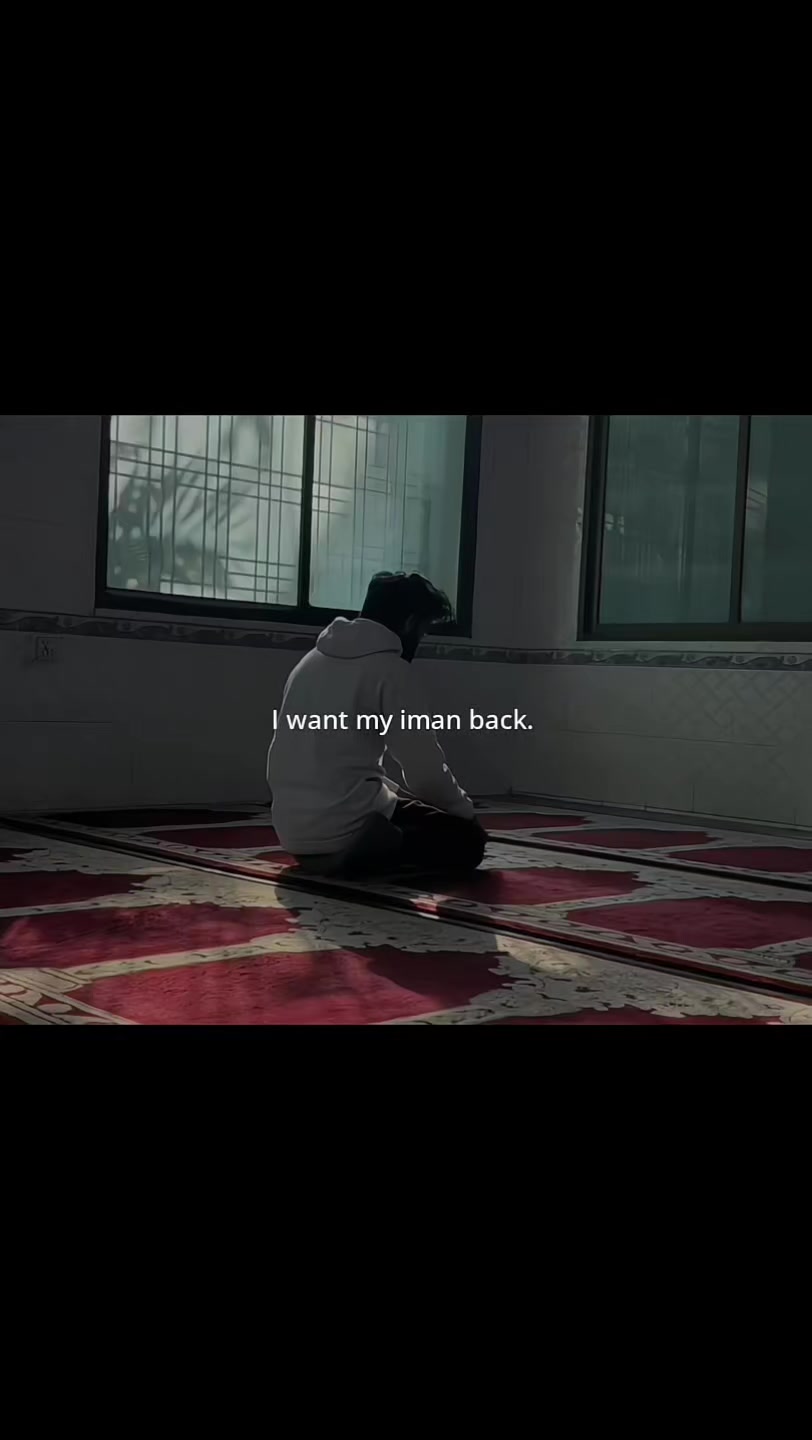 @Halal Mohsin