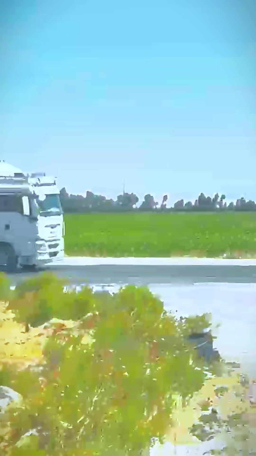 @Serdal Taş