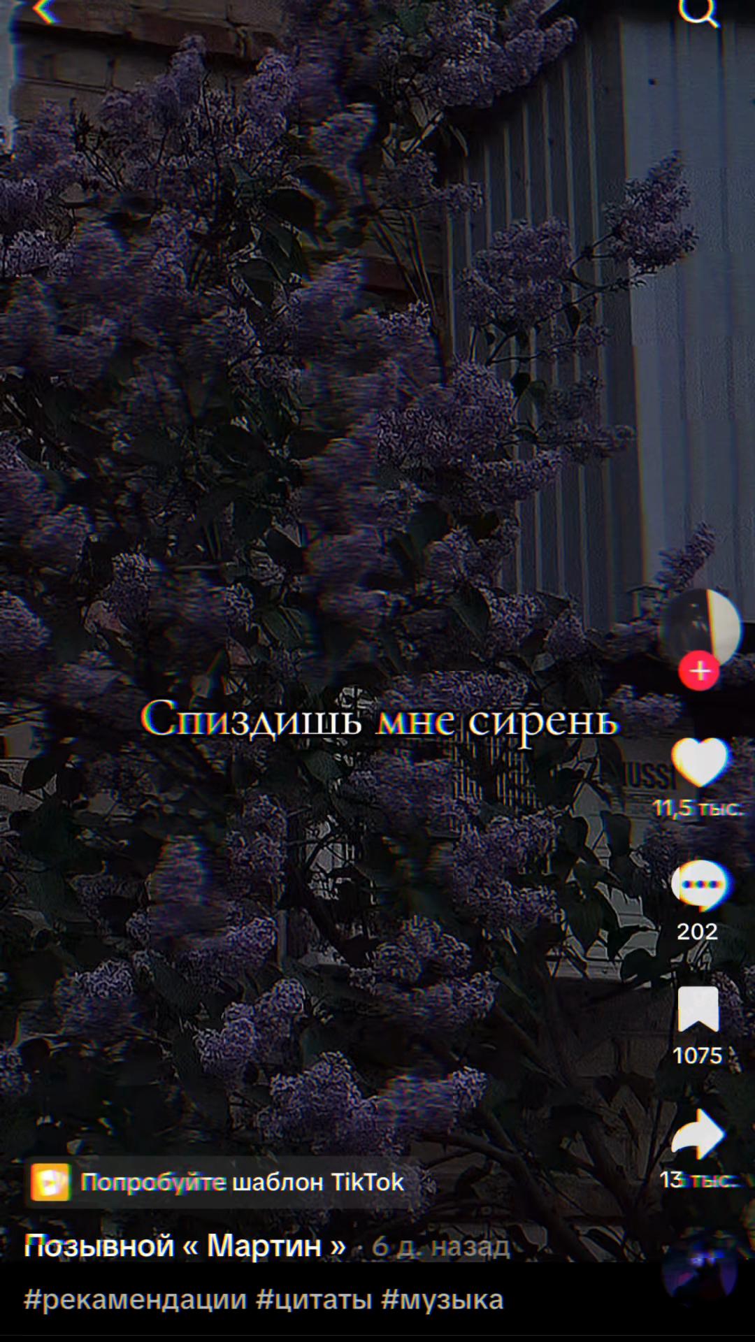 @Ксения 🪖 🇷🇺