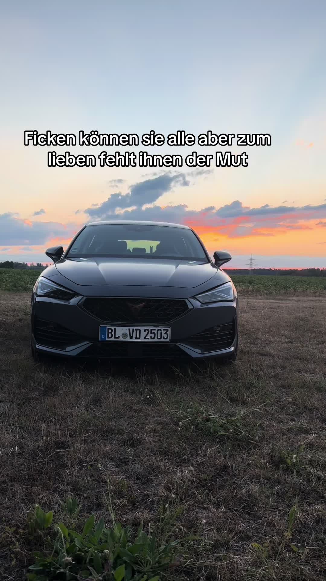 @cupraleon_v
