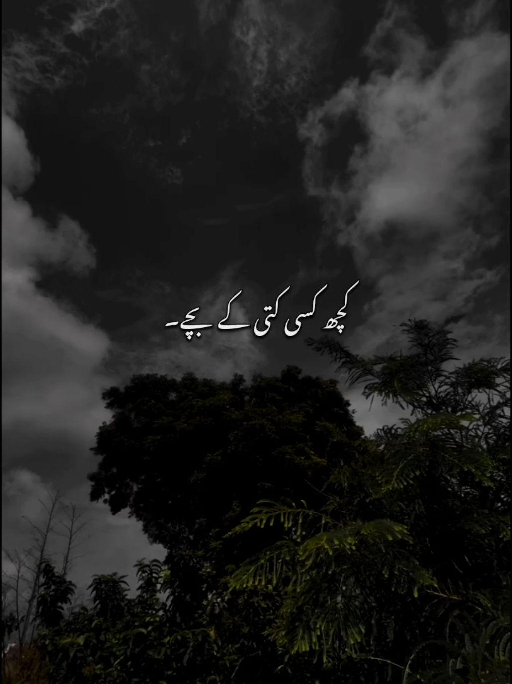 @𝘼𝙐𝙉 𝙓 𝙀𝘿𝙄𝙏𝙕