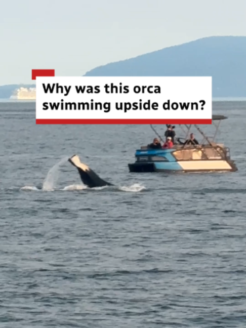 @CBC British Columbia