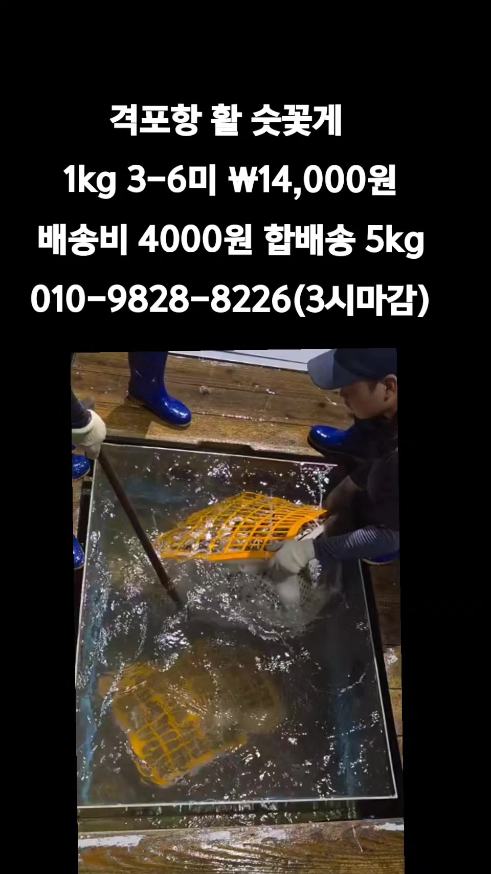 @똑손