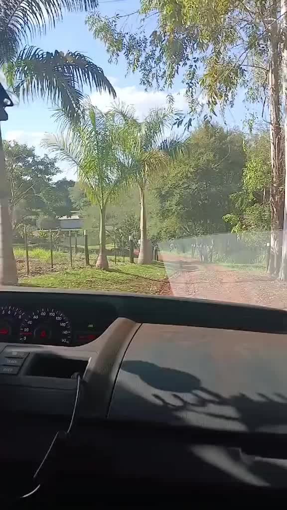 @Mirtapiris