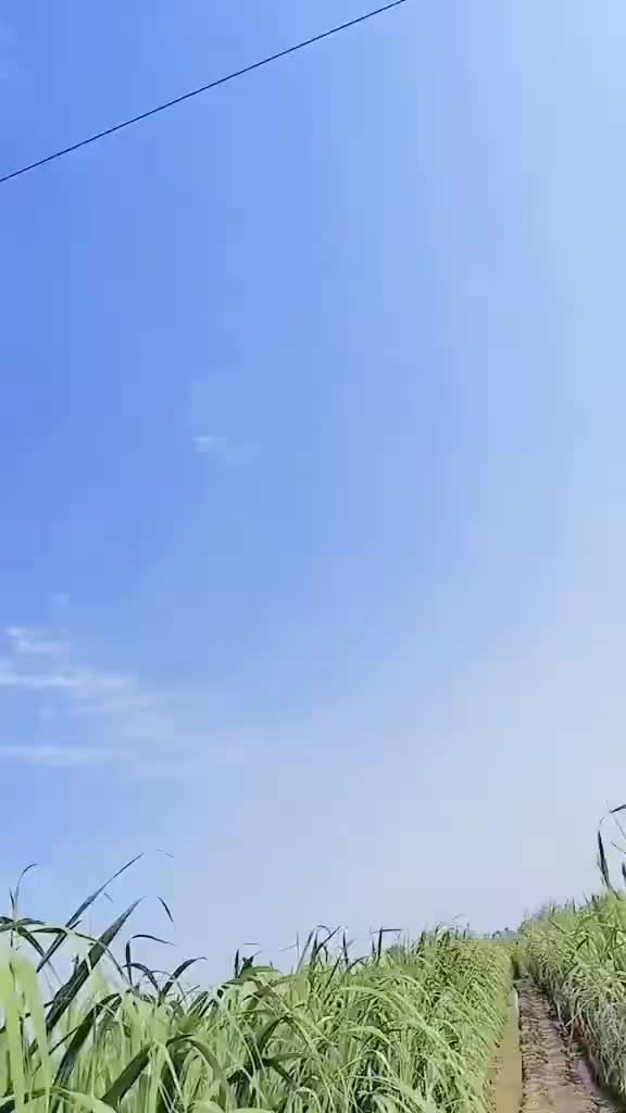 @Mähãr Wâqås Ñöûl