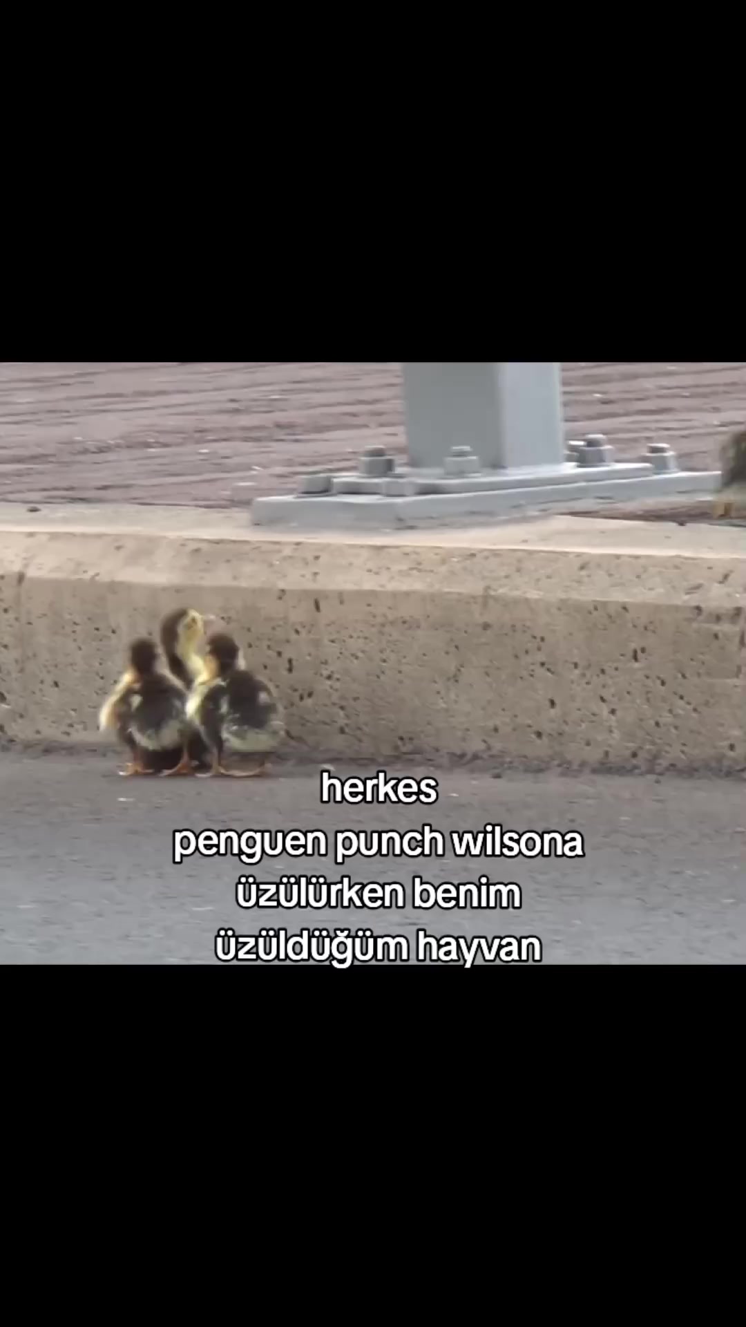 @SAMET