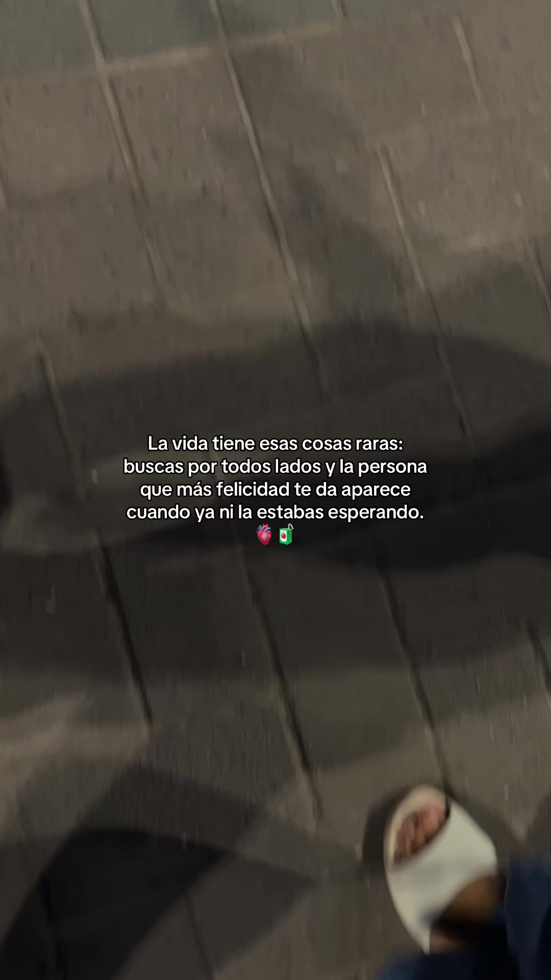 @Gatocix 🐱