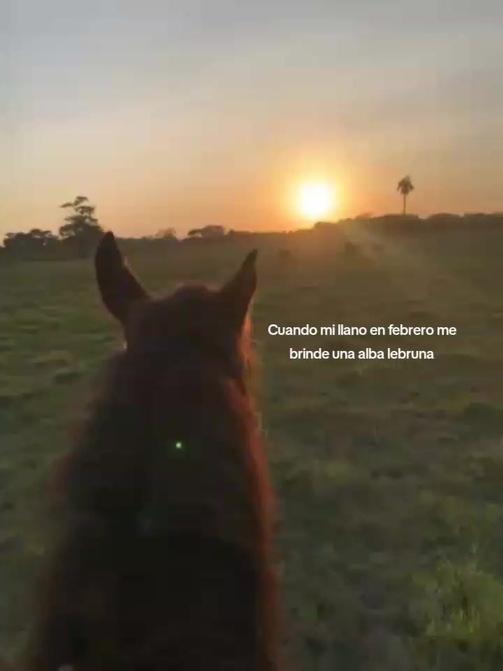 @𝓡𝓮𝓲𝓶𝓲 𝓡.⚡.