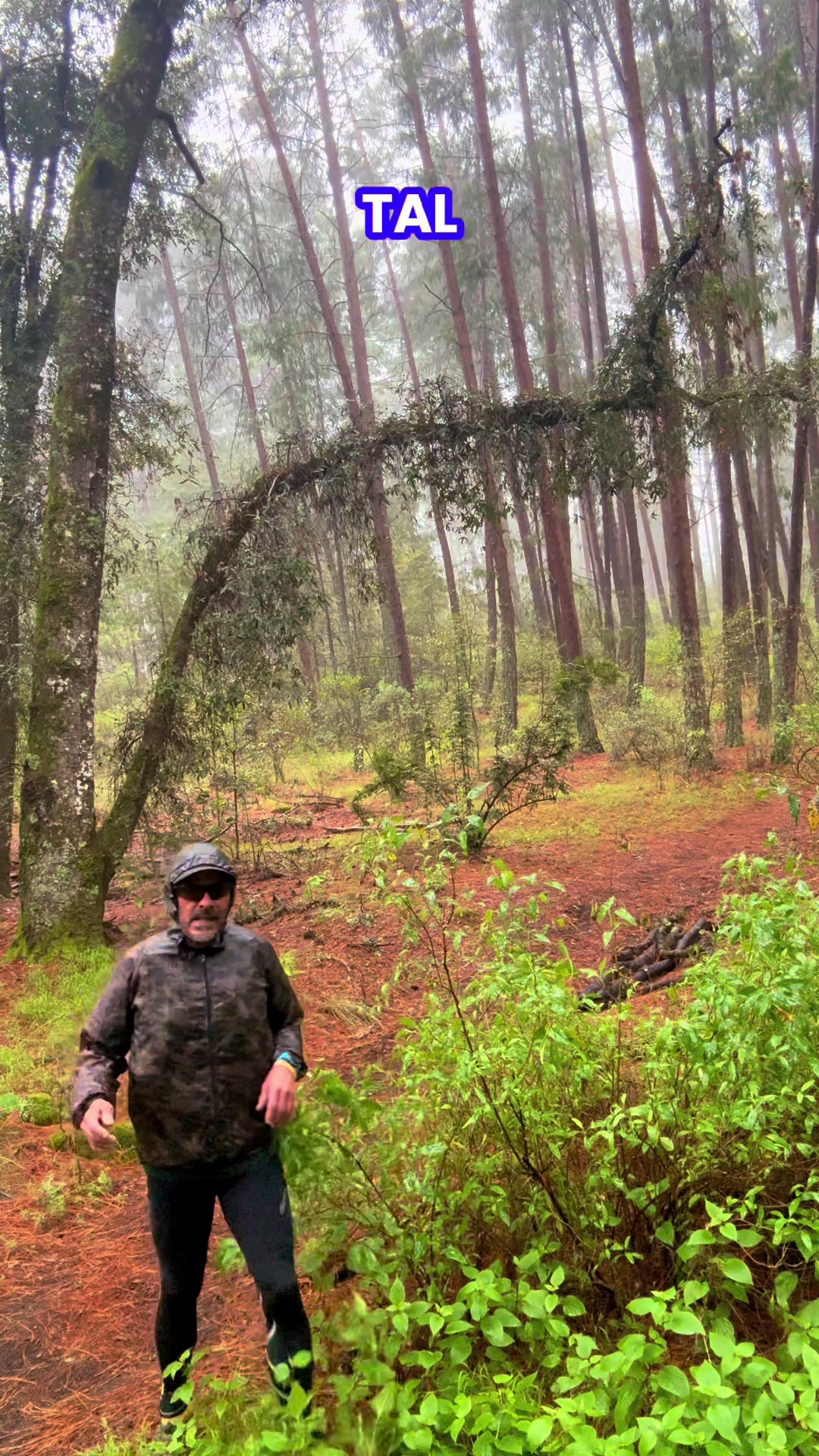 @Caminos y Senderos Mtb & Camp
