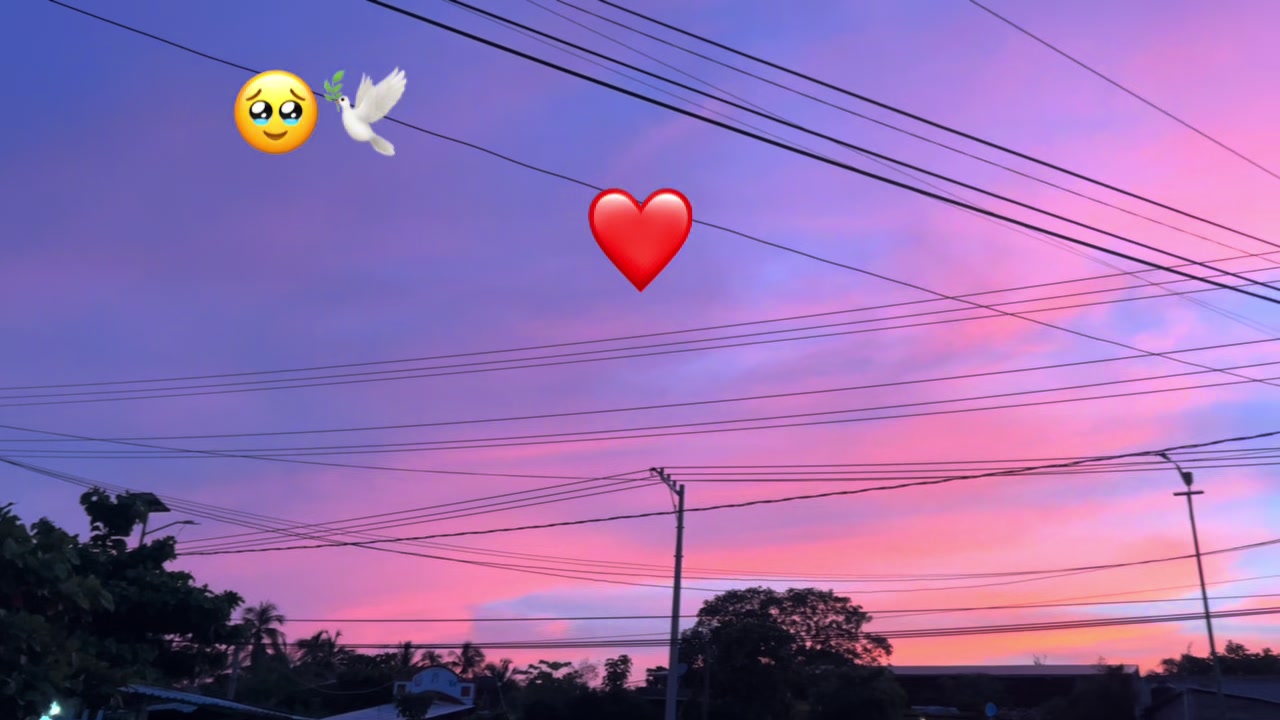 @yoloxin🤍👩⚕️