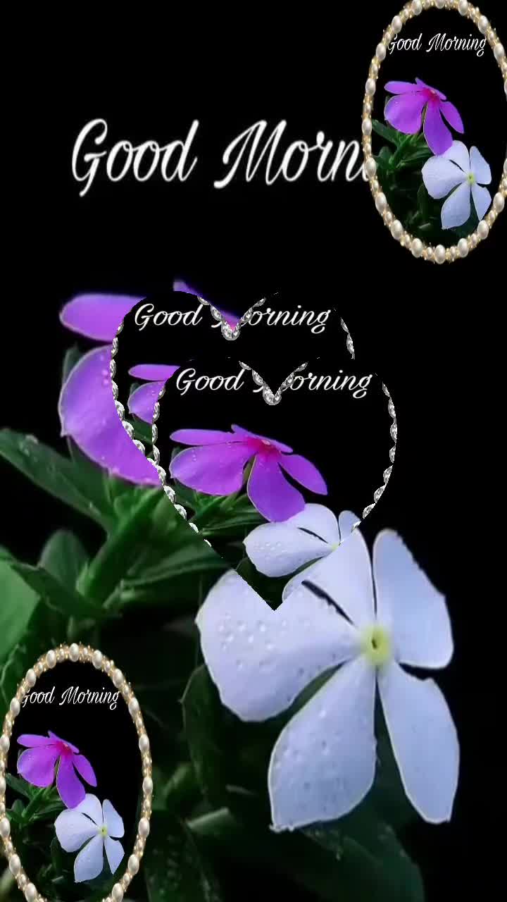 @๐ฅ๐Sโ๐ฟAMMU๐ฟโT๐๐ฅ