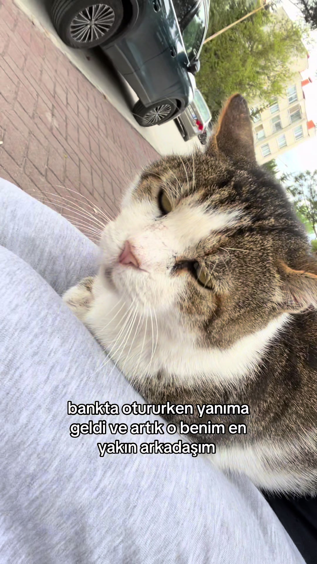 @Gulce𐙚˚⋆