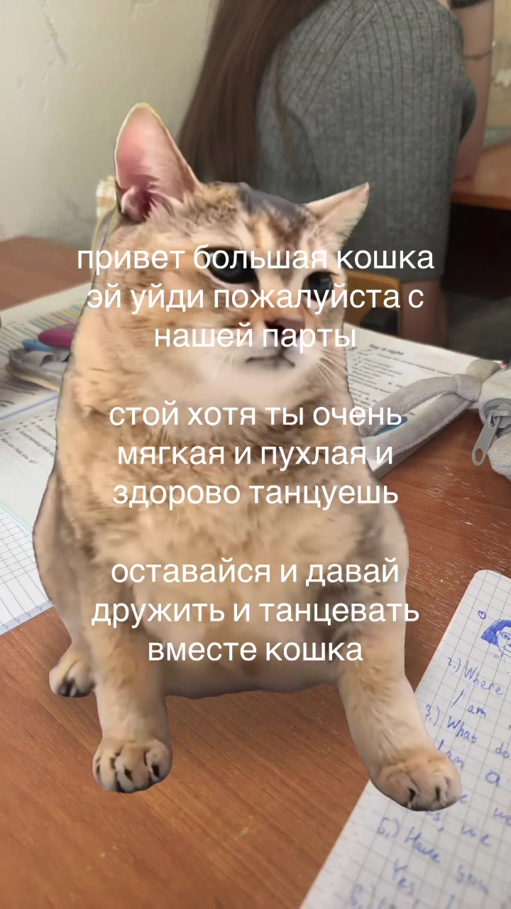 @дая хайп👻