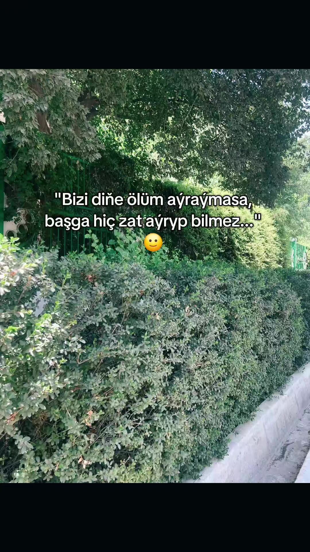@HanS7N
