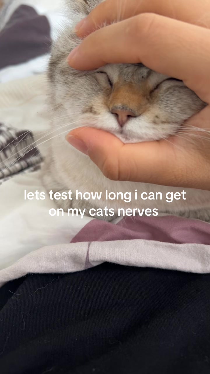 @Güliiii ♋︎