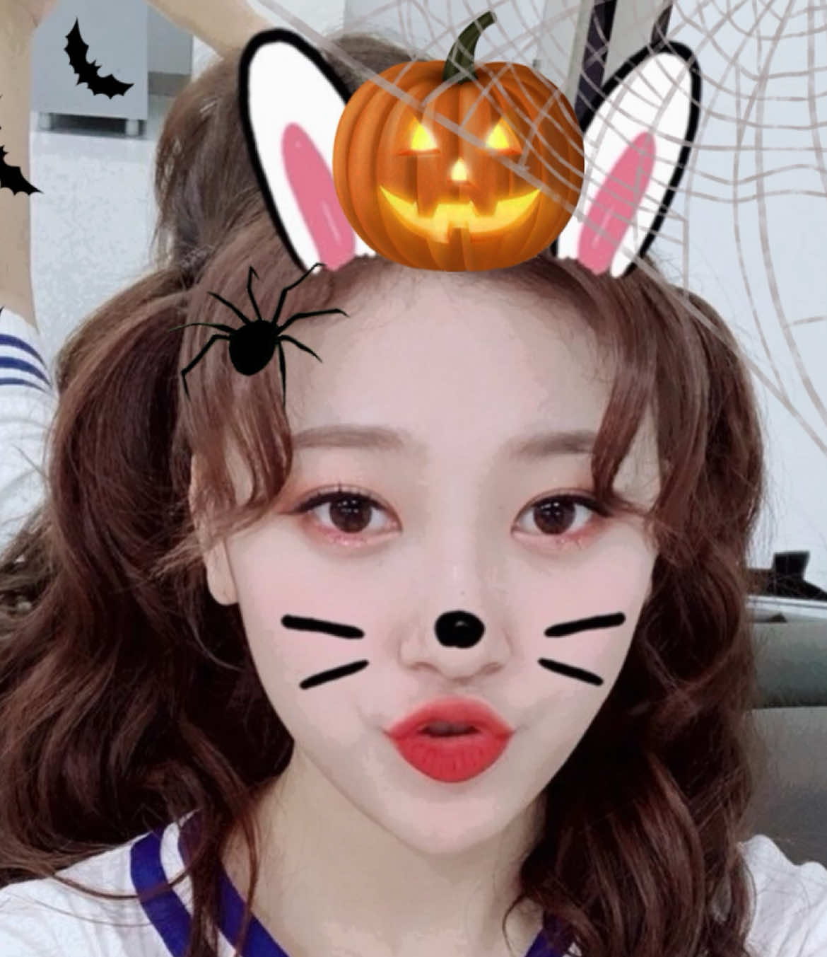 @Choerry with bunny filter