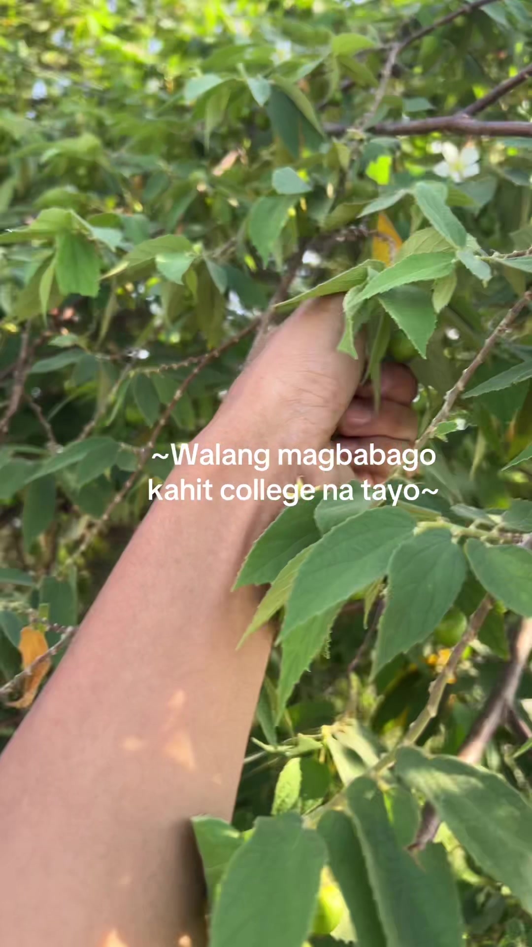@(x-y) (x+y) = x^2-y^2