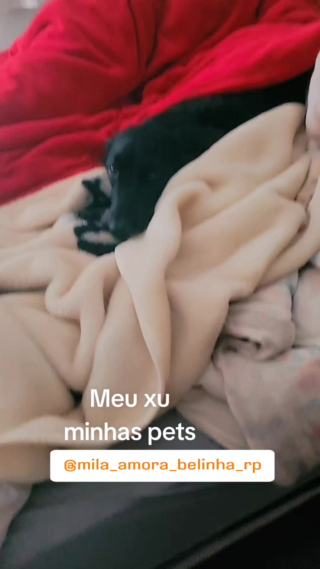 @Milas