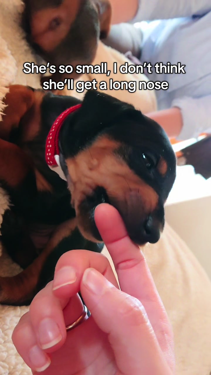 @AlvaTheHotDog