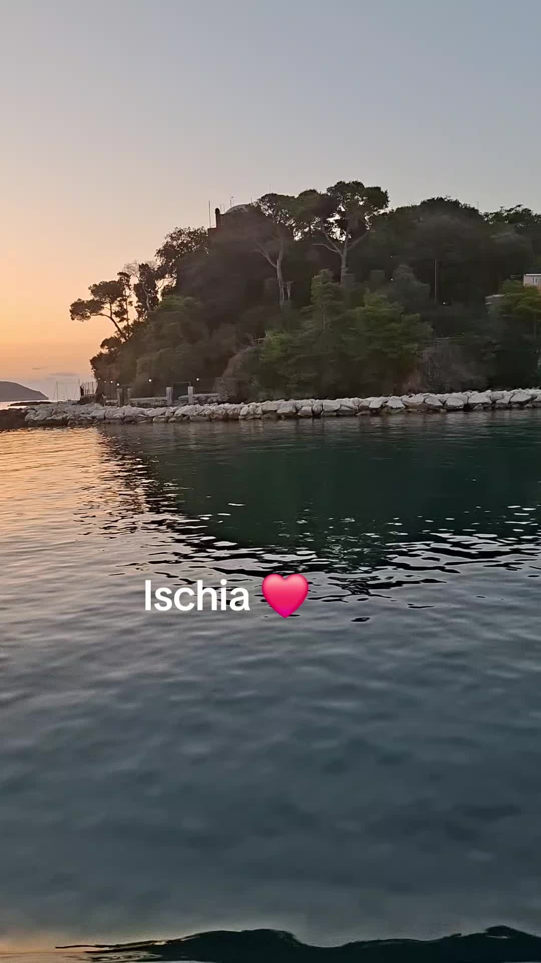 @Mena Buono