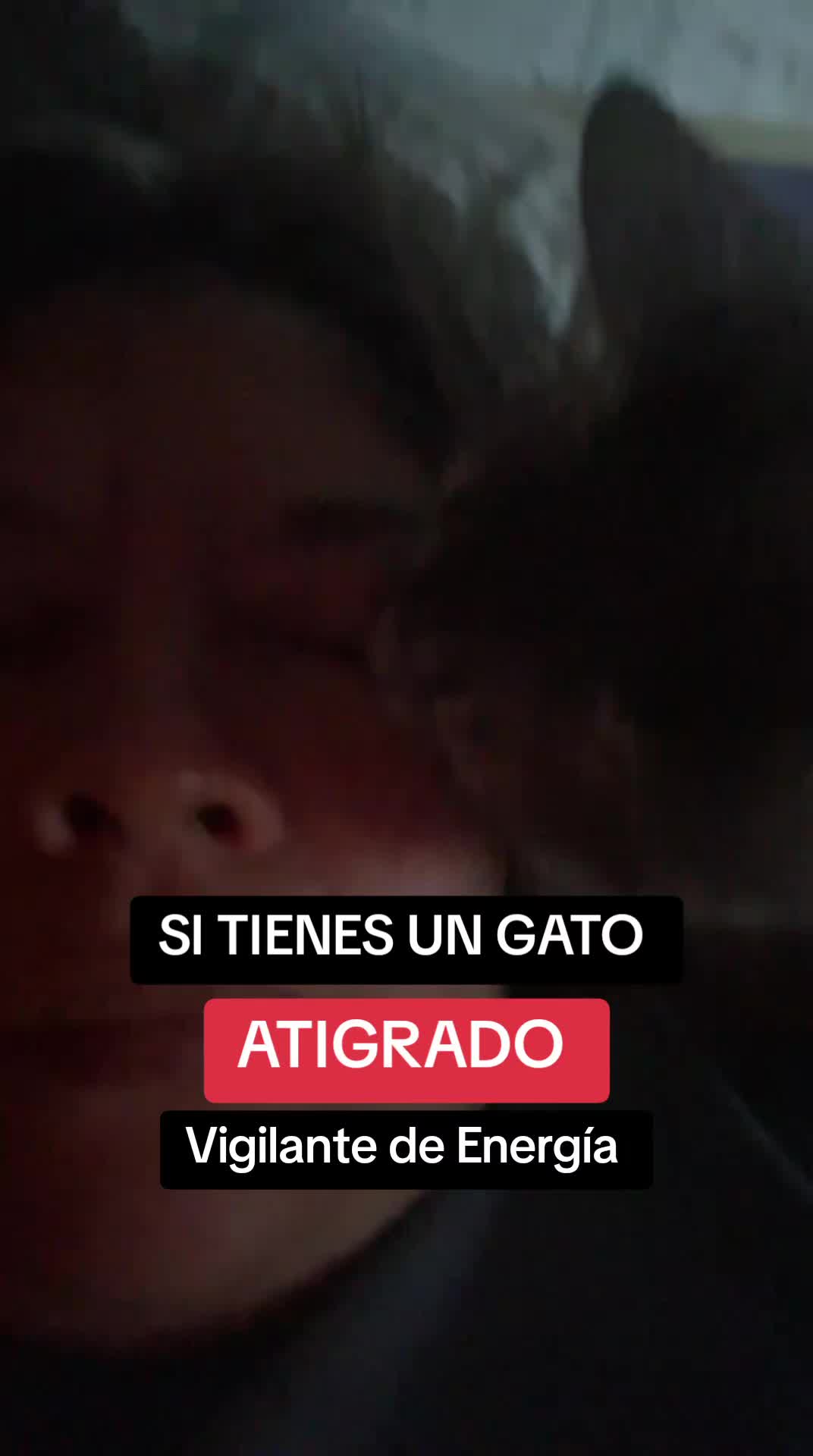 @melissit@
