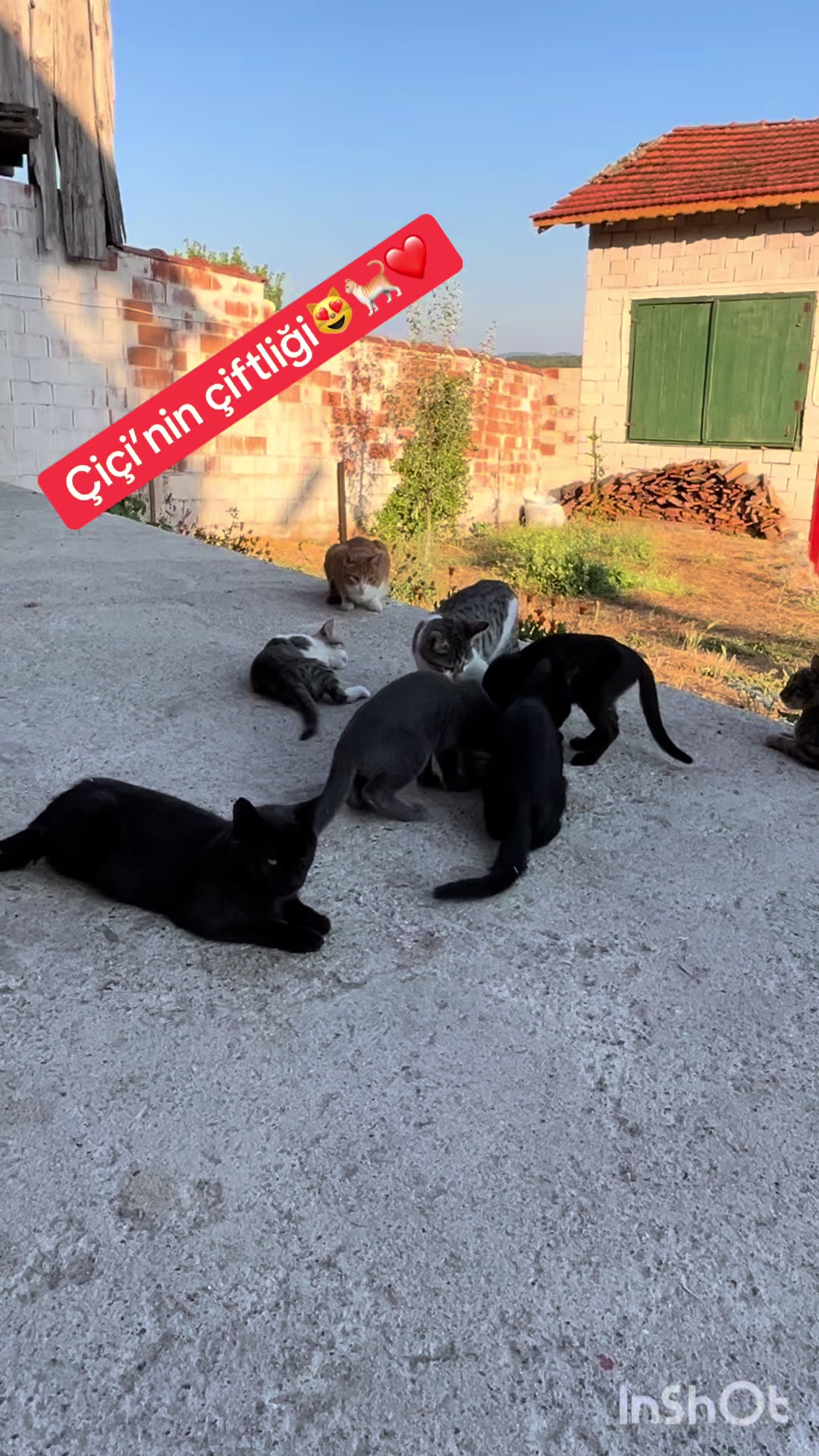 @Çiçinin köy evi