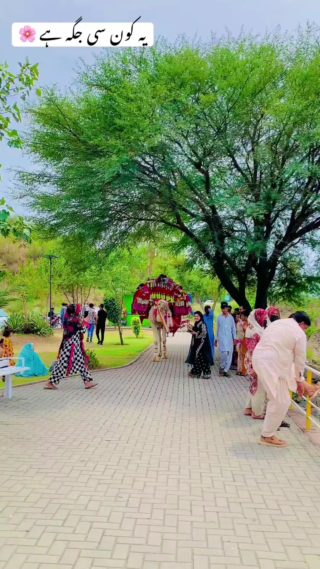 @🇵🇰Arslan Ashraf💝
