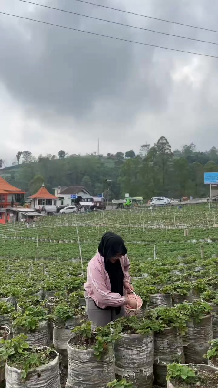 @mudhinur_