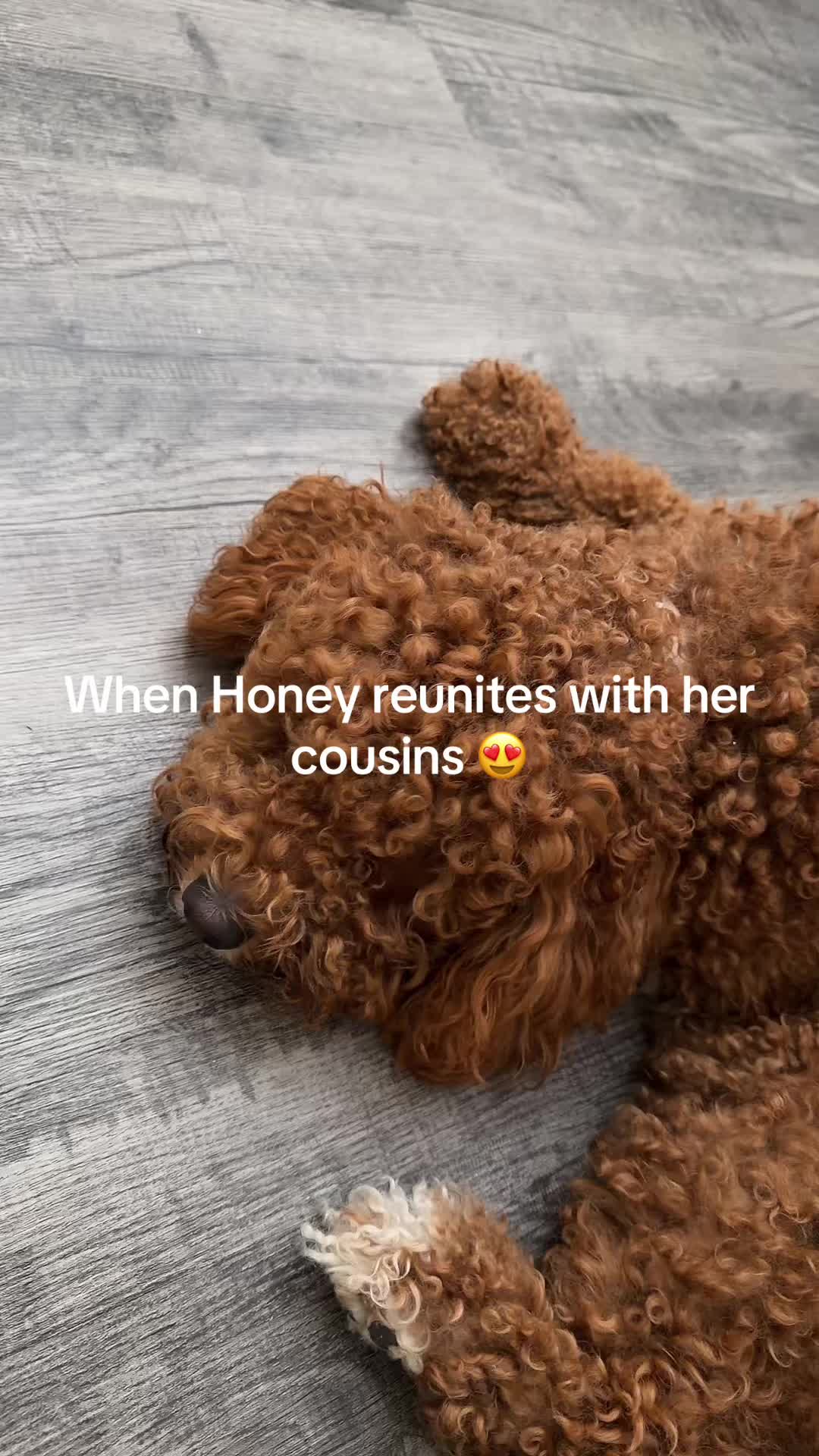 @Itsdanny16