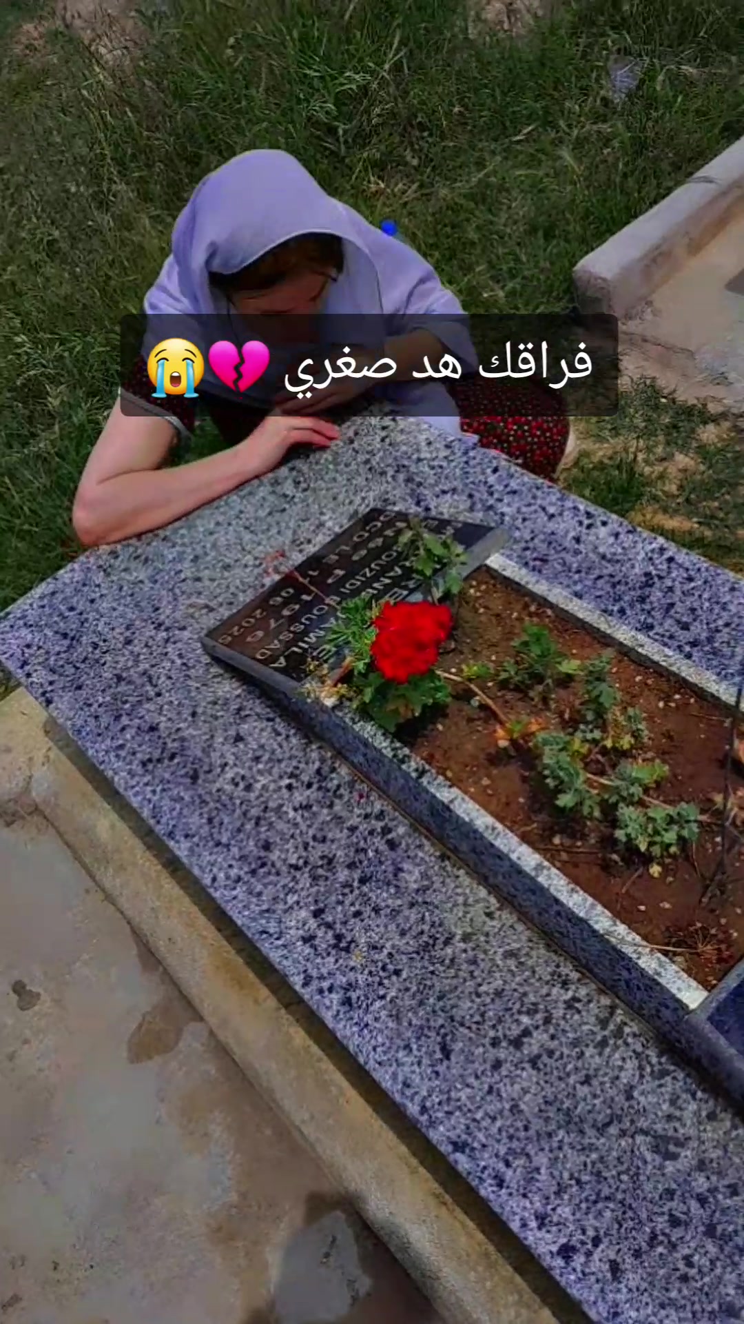 @🦋 T&atilde;&auml; Rā___Officiel 🦋🇩🇿