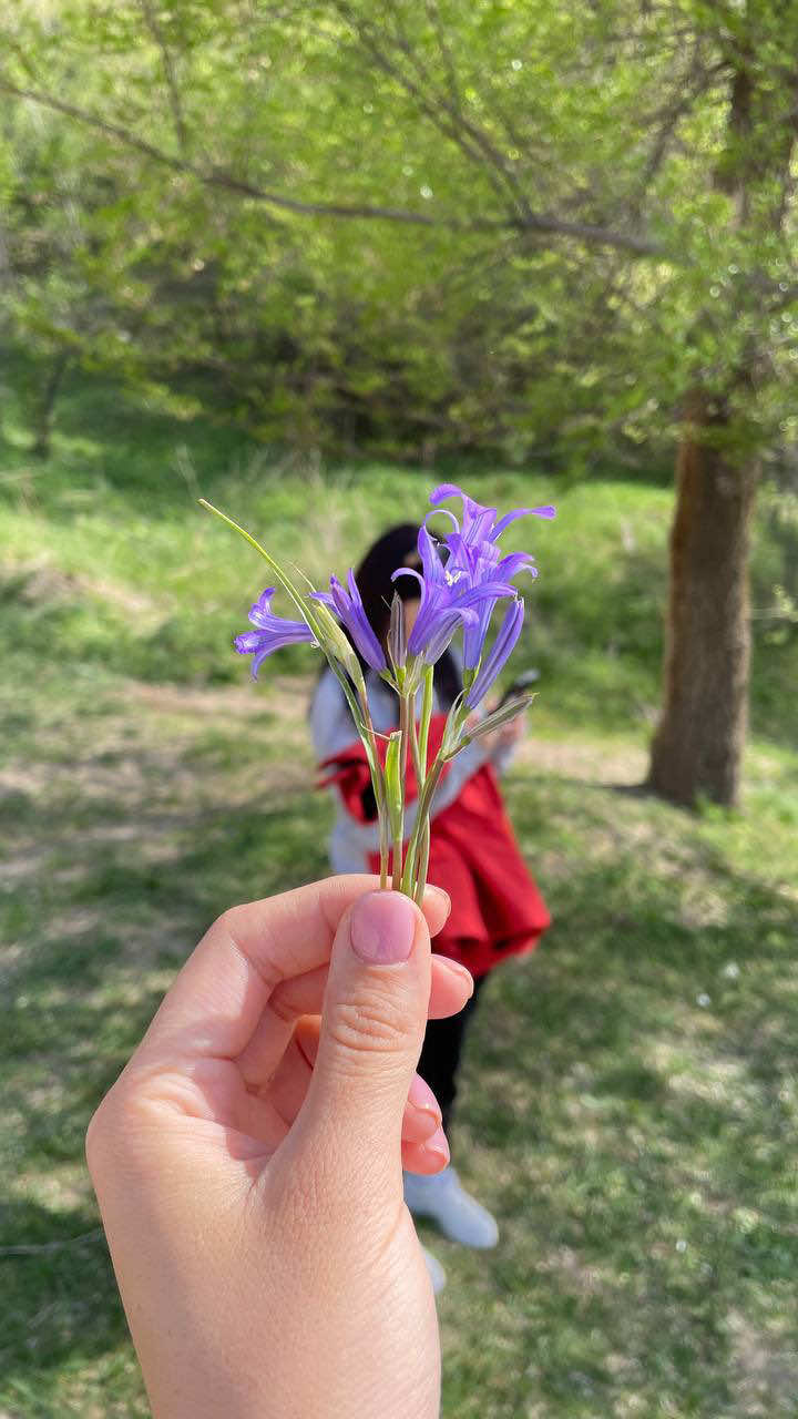 @nnsalbarova