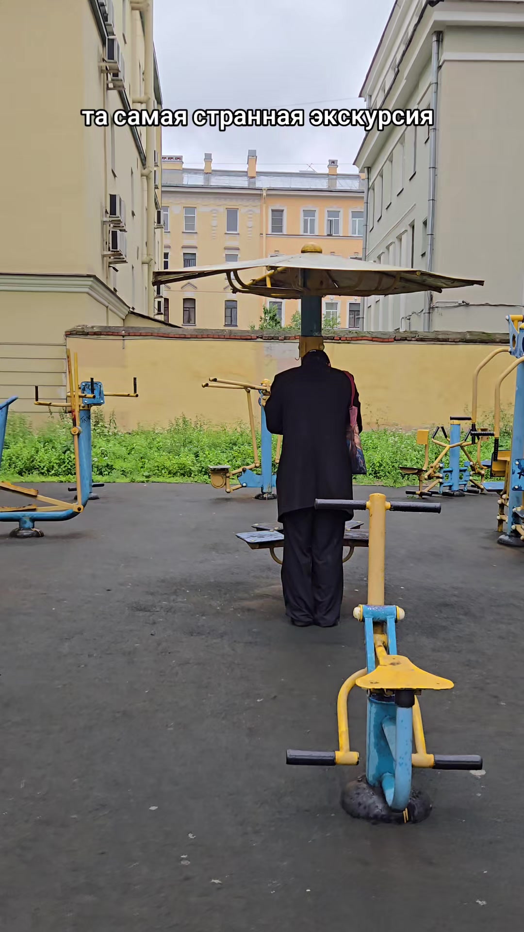 @пассионарный толчок
