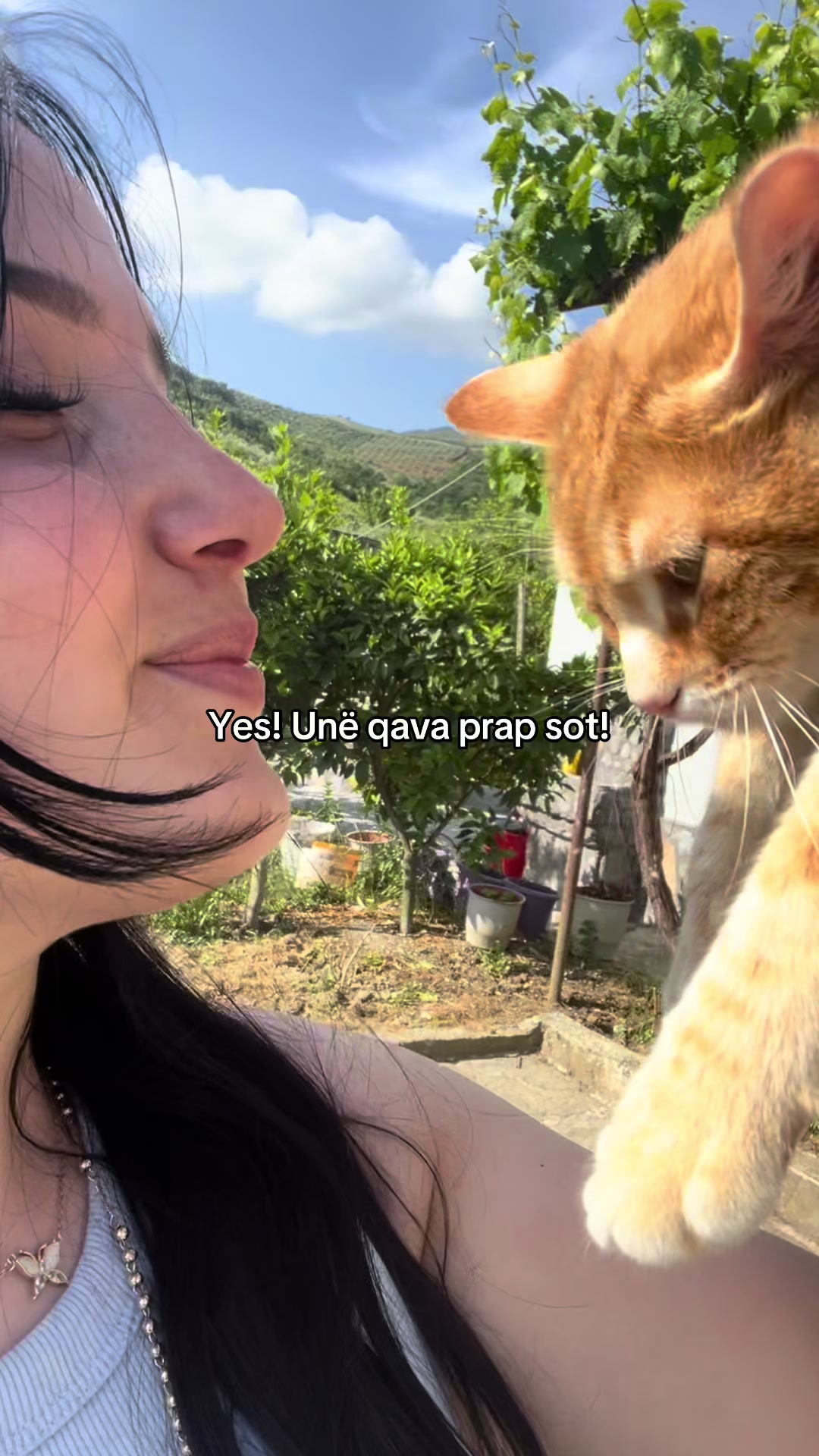 @Iva