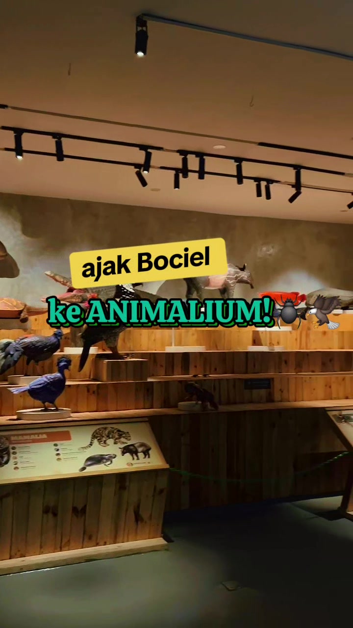 @BOCIEL FUNKY