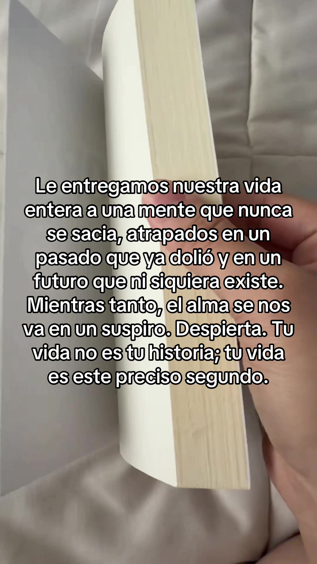 @Iraid Cer&oacute;n