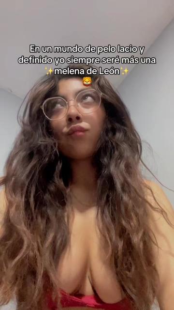 @vane_modell